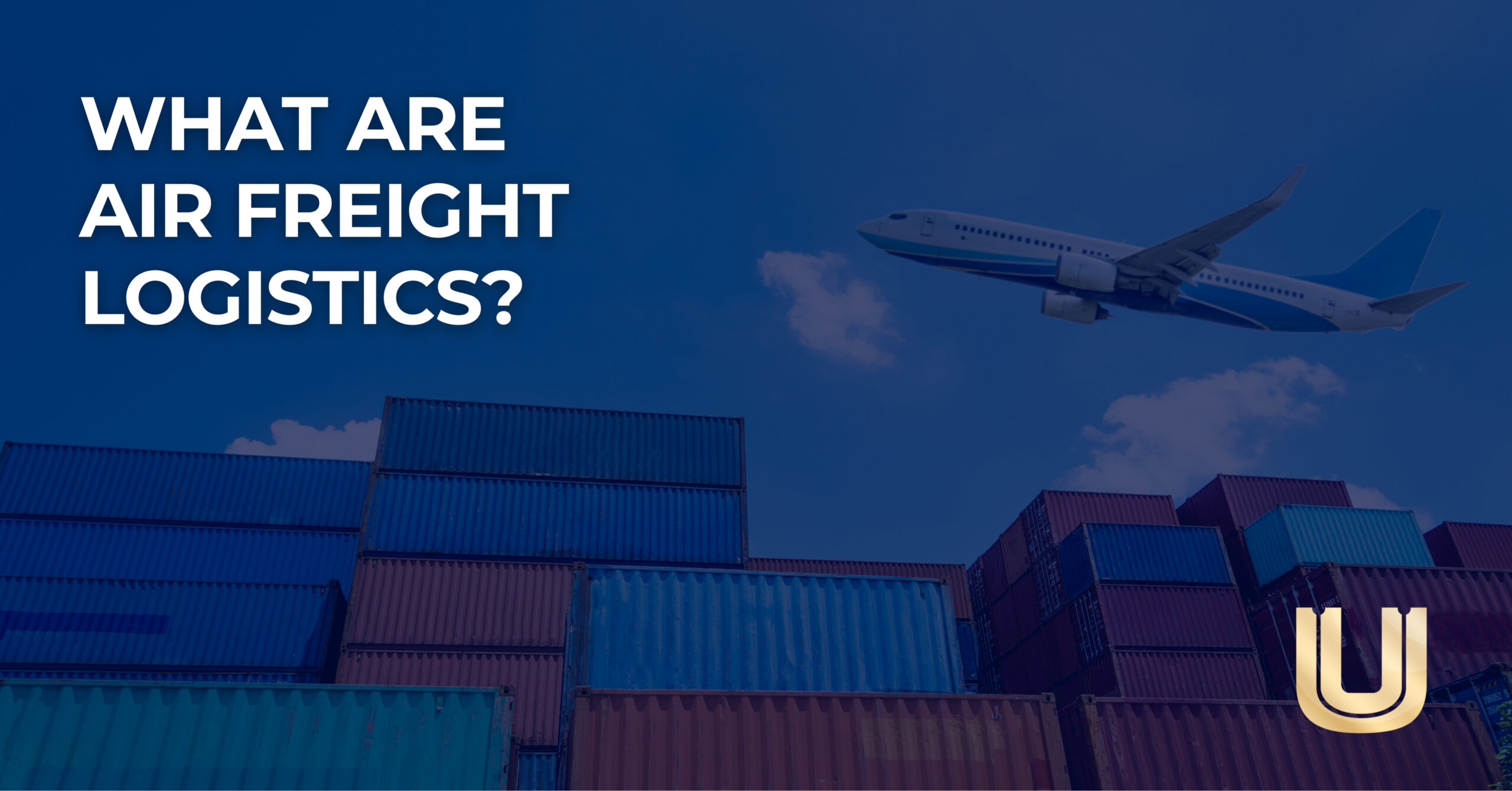 High in the Skies Understanding Air Freight Logistics and Its Global Impact
